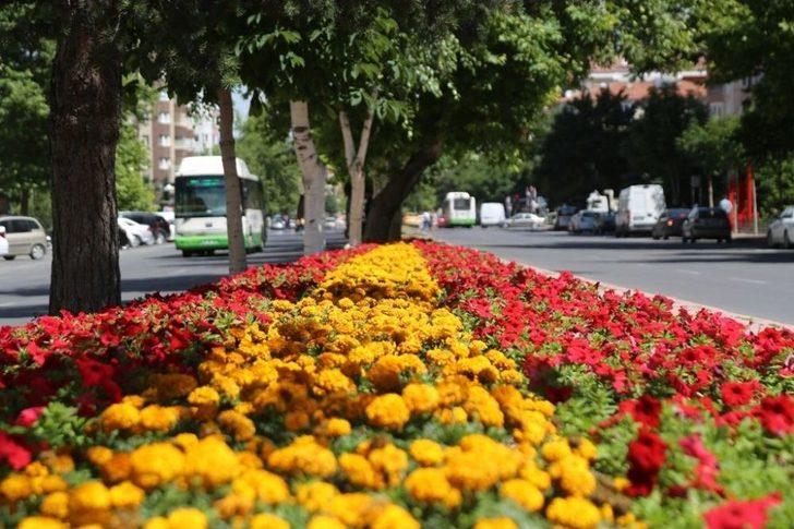 Melikgazi Yine Çiçek Açacak G3