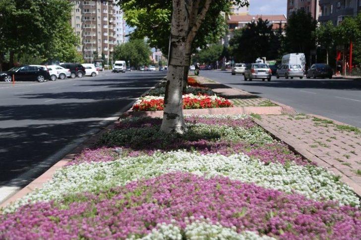 Melikgazi Yine Çiçek Açacak G4