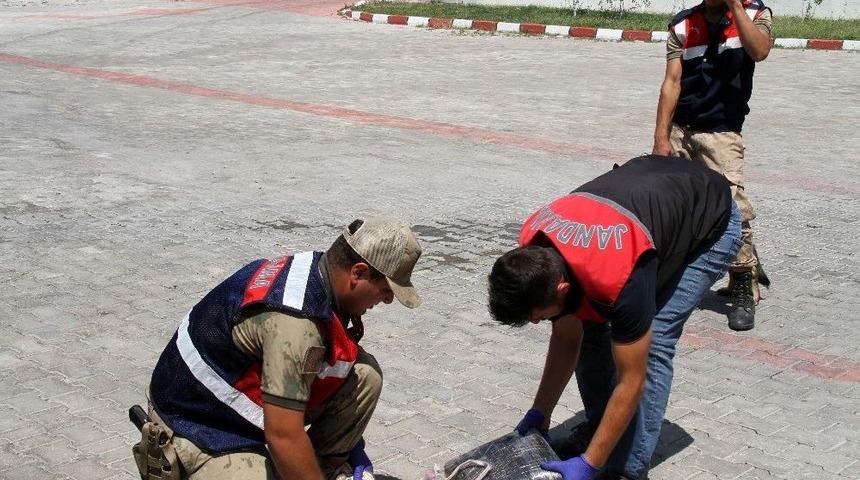 Uyuşturucu Ka&ccedil;ak&ccedil;ısı, İbre&rsquo;ye Takıldı