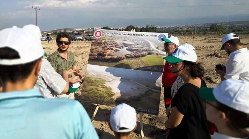Mudanya&rsquo;da Bataklıklar Meyve Bah&ccedil;esi Oluyor