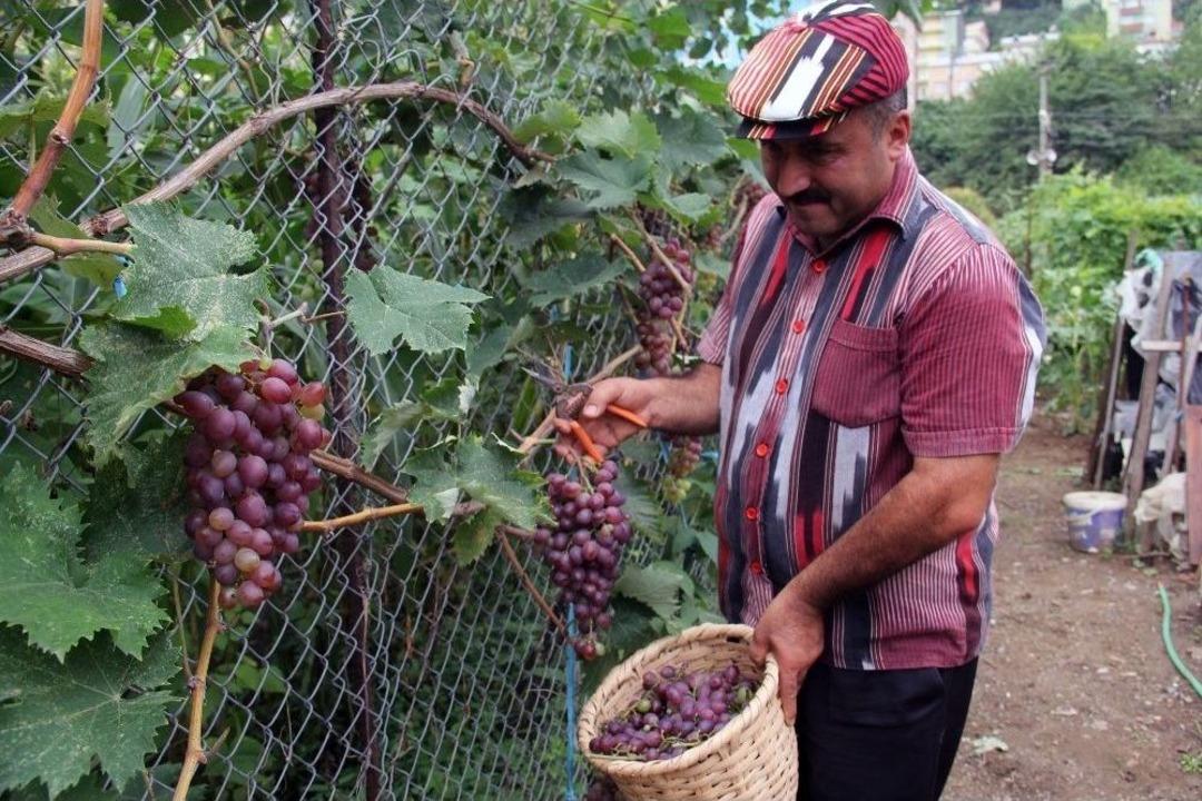 Muhtardan &Ouml;rnek Bah&ccedil;e