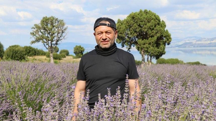 Burdur’da Aromatik Bitkilerin Yağı Çıkartılıyor