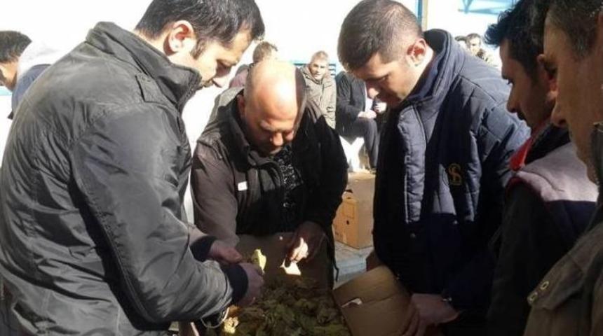 Selendi’de Yeni Mahsül Tütün Alımları Başladı