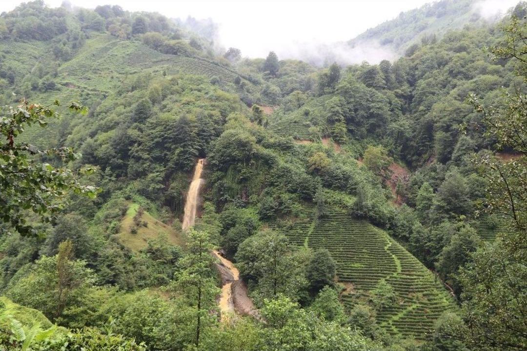 Rize&rsquo;de Heyelanın Ardından Dereler &Ccedil;amur Akıyor