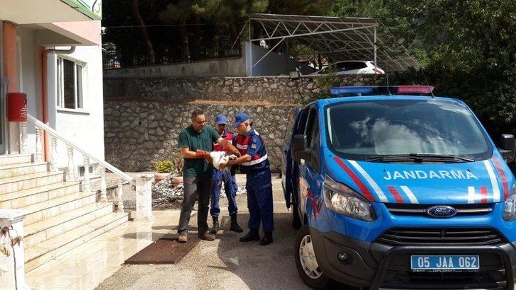 Kanadı Kırık Leyleği Hayata Tutundurmaya Çalıştılar G5