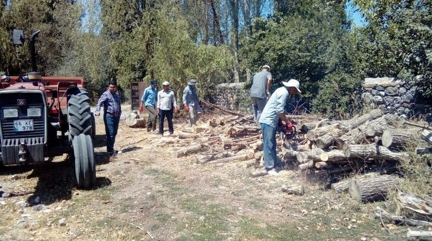 Vatandaşlar, Kışın Yakacakları Odun Teminine Şimdinden Başladı