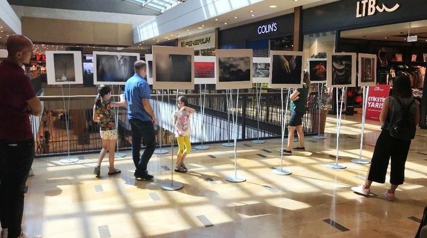 &ldquo;sanat Kareleri&rdquo; Fotoğraflarına Yoğun İlgi