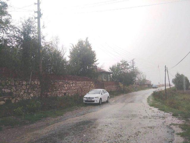 Yağmur Ve Dolu, Meyve Ağaçları İle Sebze Fidelerine Zarar Verdi