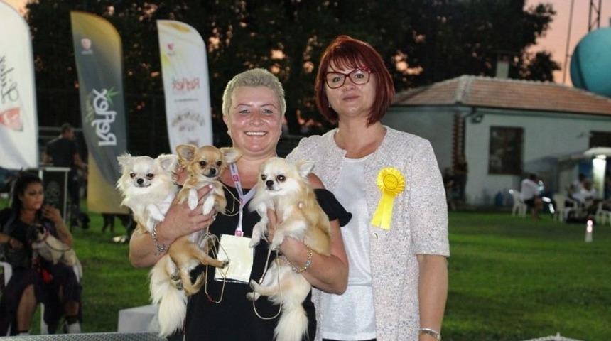 K&ouml;pekler Birincilik İ&ccedil;in Yarıştı