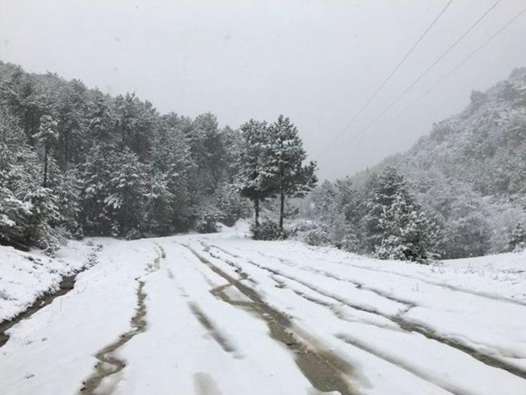 B&uuml;y&uuml;korhan Beyazlara B&uuml;r&uuml;nd&uuml;