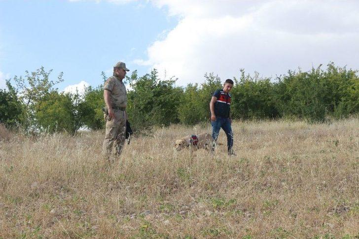 Suriyeli 3 Genç Kız Kayboldu G4