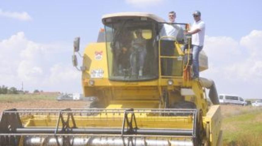 Kadın &Ccedil;ift&ccedil;ilerin Hasat Sevinci