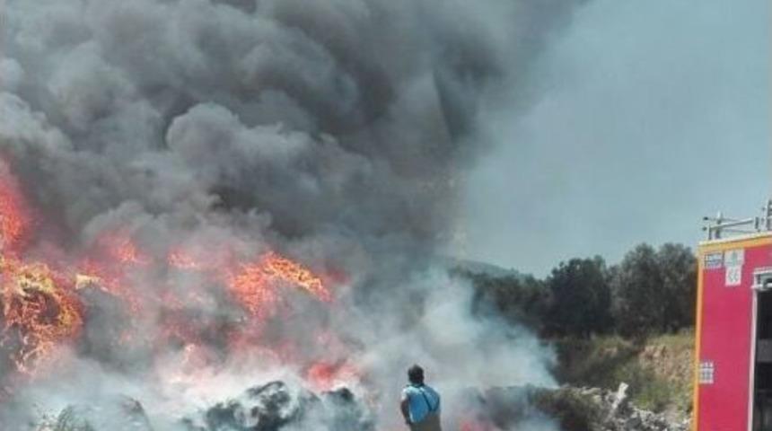 Bu &Ccedil;&ouml;pl&uuml;k Hep Yanıyor, &Ouml;nlem Alınması İsteniyor