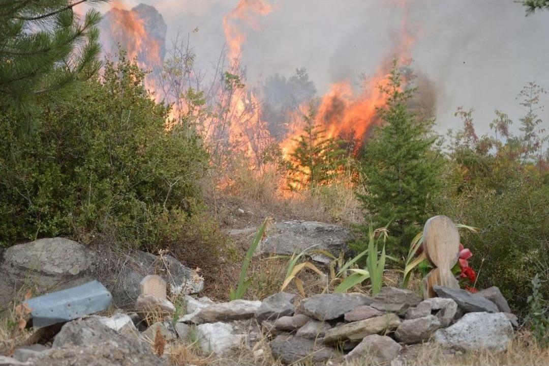 Tokat&rsquo;ta Mezarlıkta &Ccedil;ıkan Yangın G&uuml;&ccedil;l&uuml;kle S&ouml;nd&uuml;r&uuml;ld&uuml;