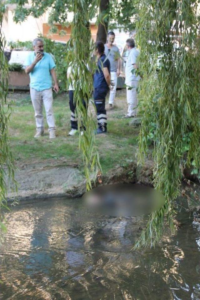 Yalova’da Derede Erkek Cesedi Bulundu