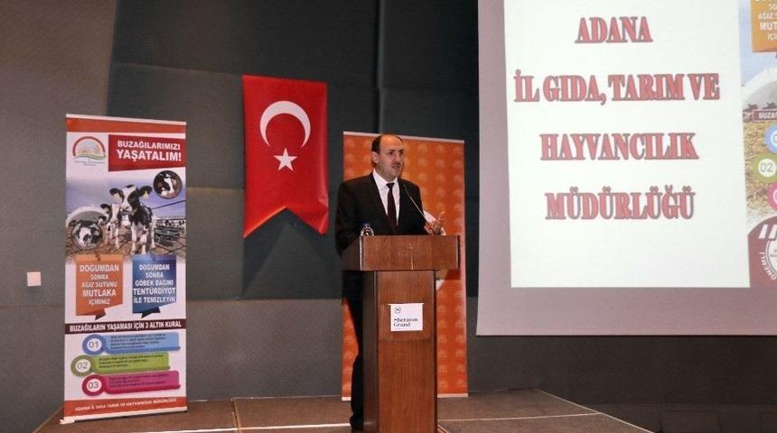 Adana&rsquo;da Buzağı &Ouml;l&uuml;mlerine Karşı Aşılama Kampanyası