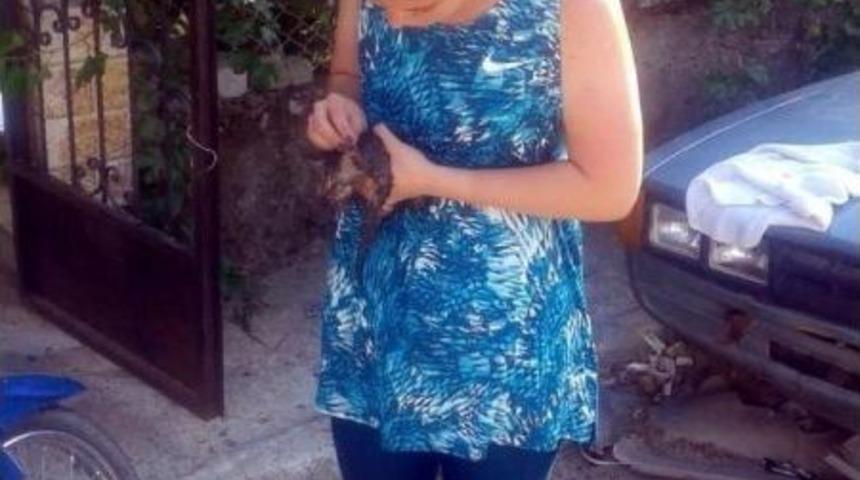 Motora Sıkışan Yavru Kedi Kurtarıldı