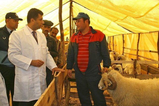 Kurban Satış Ve Kesim Yerleri Belirlendi