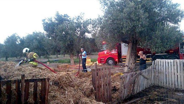 Edremit’te Korkutan Samanlık Yangını