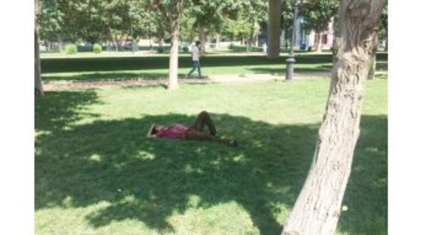 Sıcaklardan Bunalanlar Ağa&ccedil; G&ouml;lgesinde Serinliyor