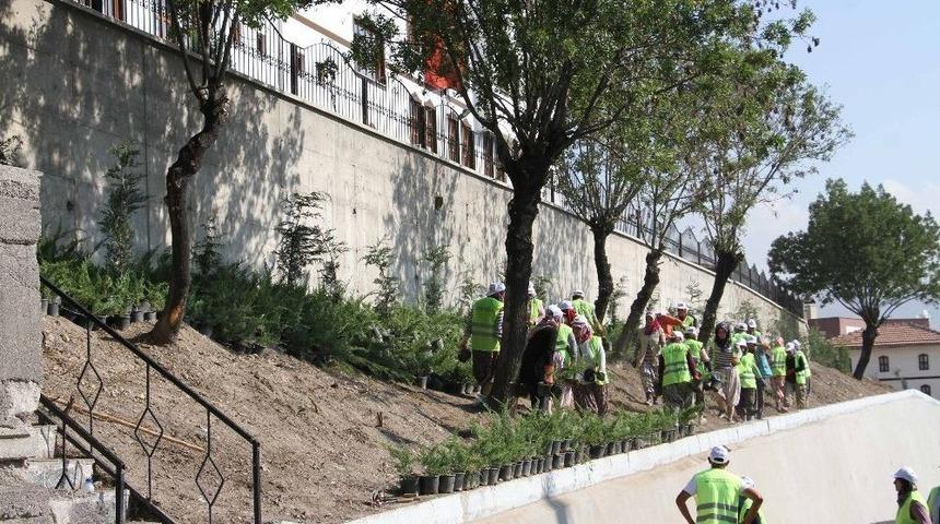 Beypazarı Baştan Sona &Ccedil;i&ccedil;ek