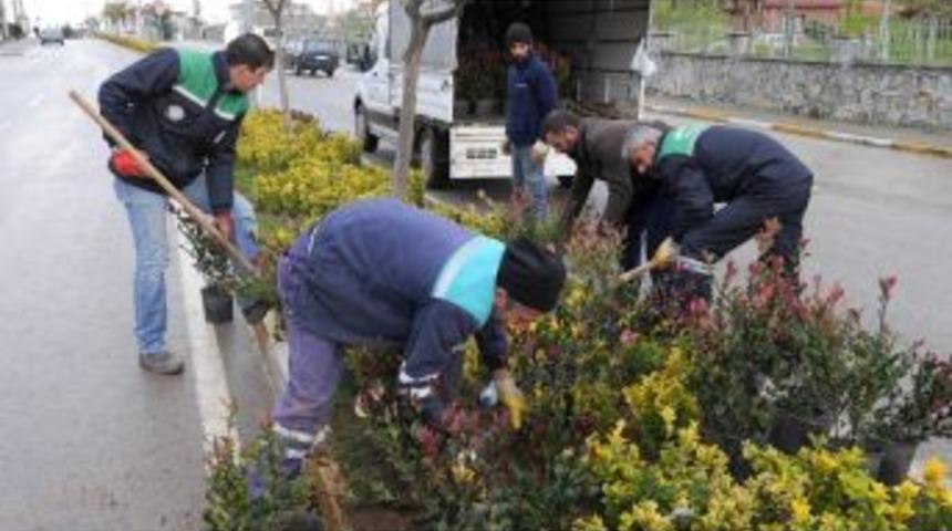 Başiskele&rsquo;de Yollar Bitkilendiriliyor