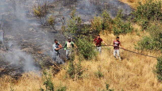 Hizan’da Orman Yangını
