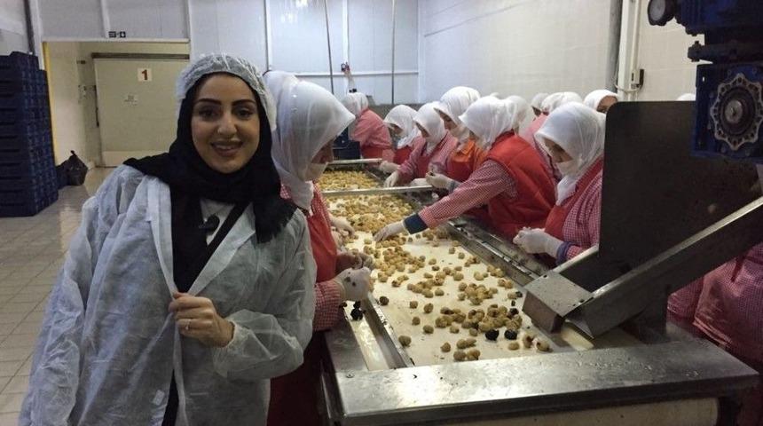 (&ouml;zel) Bursa Kestanesi Fransız Kestanesini Tahtından Etti