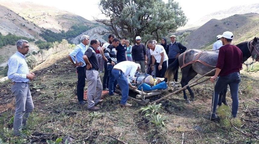 Eşekle U&ccedil;uruma Yuvarlandı, 112 Ekipleri Kurtardı