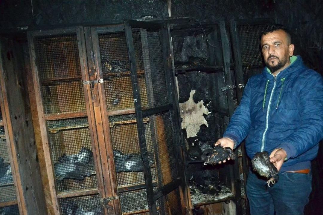 70 G&uuml;vercini Yakarak Telef Ettiler