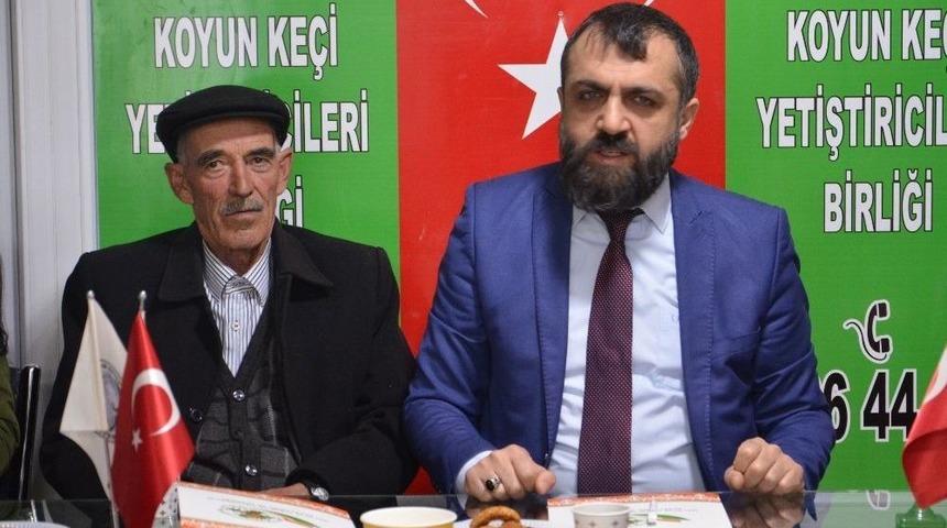 &lsquo;koyun Kırkım&rsquo; Kursu Başladı