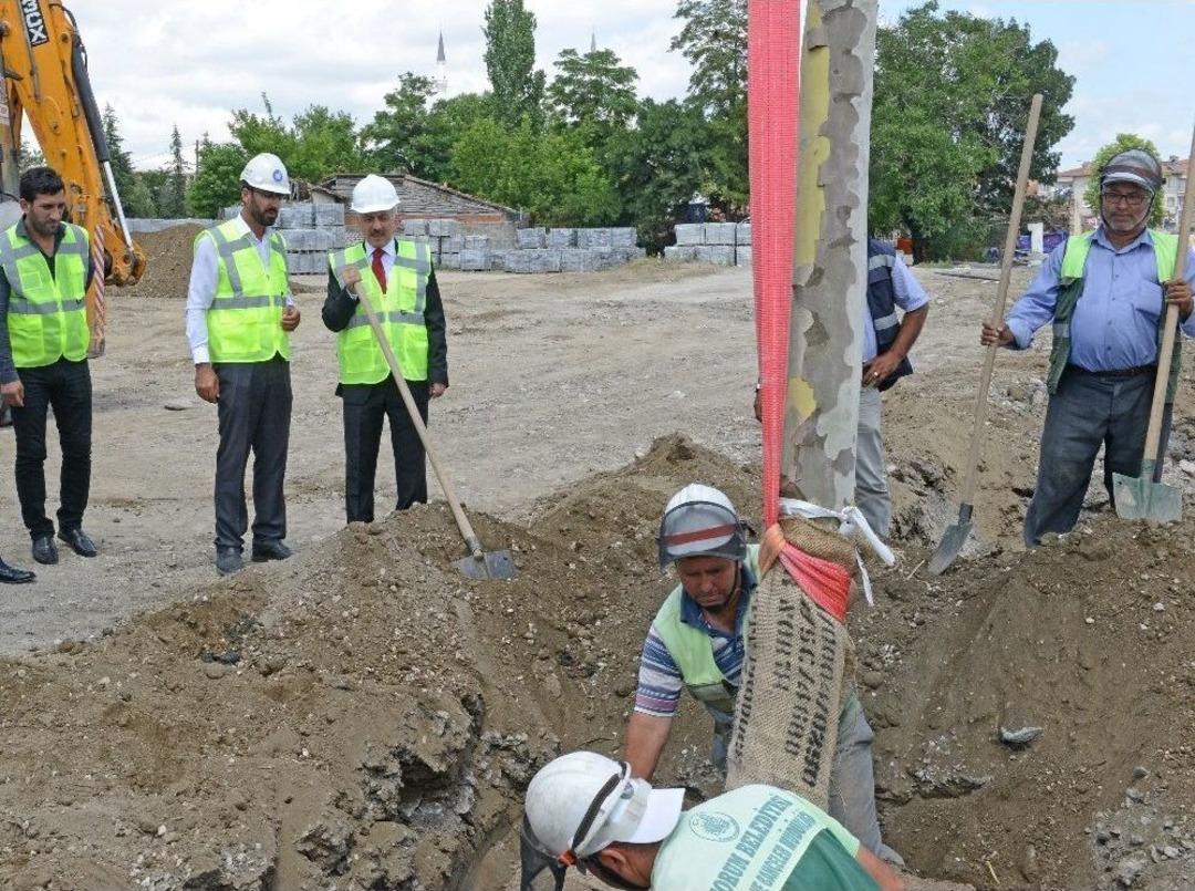 &Ccedil;orum Belediyesi 40 Bin Yetişmiş Ağa&ccedil; Dikecek