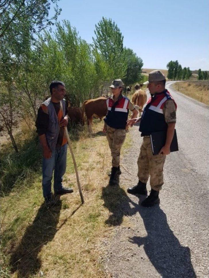 Jandarmadan Kurban Bayramı Tedbirleri G3