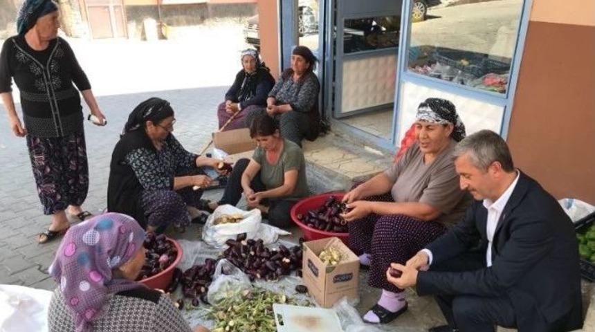Belediye Başkanı Tahmazoğlu Patlıcan Oydu