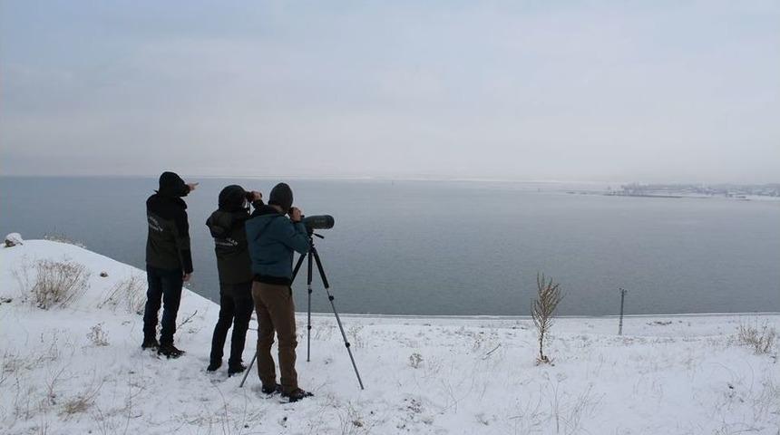 Van&rsquo;da &lsquo;kış Ortası Su Kuşu Sayımı&rsquo; Başladı