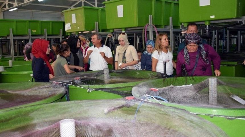 &Ccedil;ivril&rsquo;de &ldquo;ışıklı G&ouml;l&uuml;n&uuml;n Balık&ccedil;ı Kadınları&rdquo; Projesi Hayata Ge&ccedil;irildi