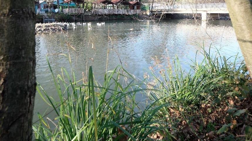 Saklı Cennet Başiskele