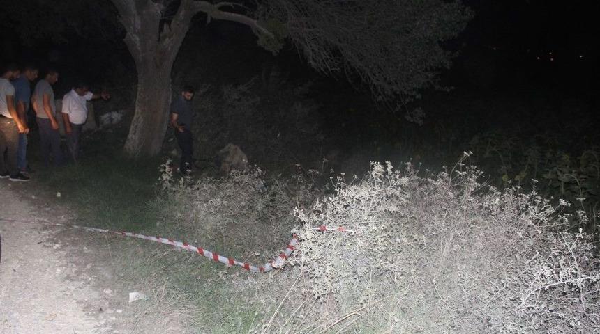 Ormanlık Alanda Kadın Cesedi Bulundu