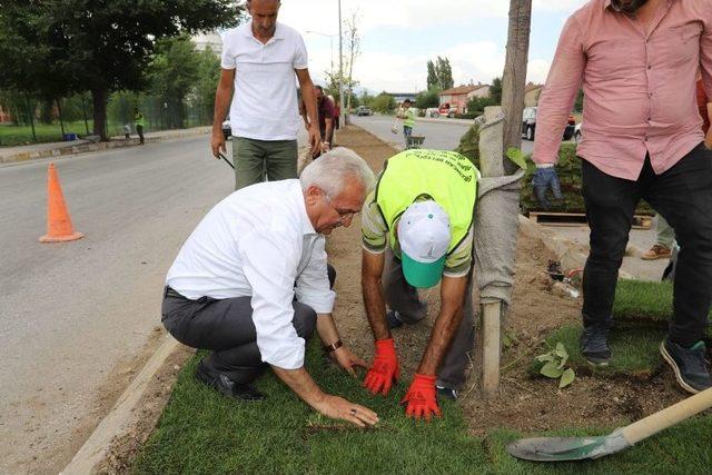 Başsoy: 