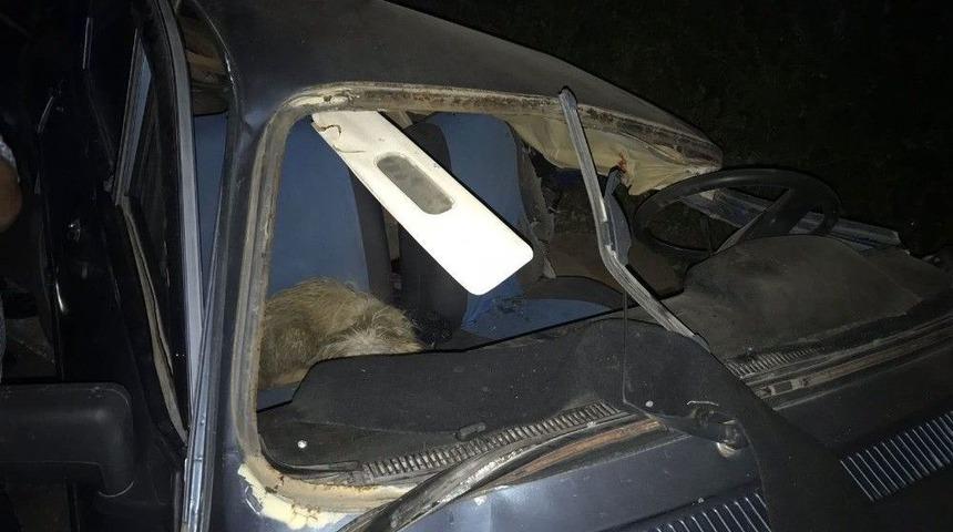 Virajı Alamayınca Otobüse Çarptı