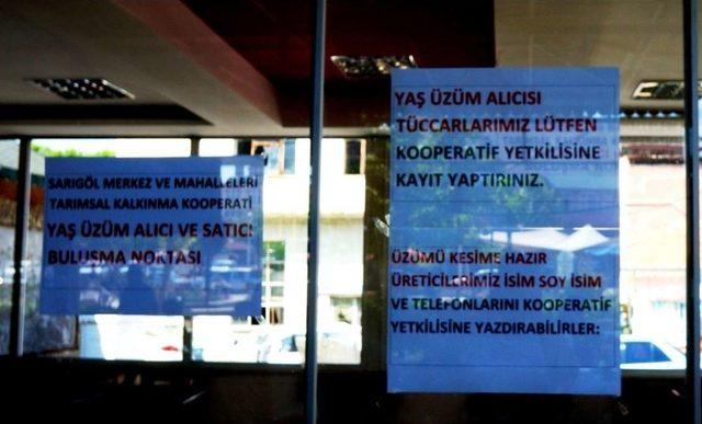 Sarıgöl’de Üzüm Alıcı Ve Satıcısını Bir Araya Getiren Uygulama