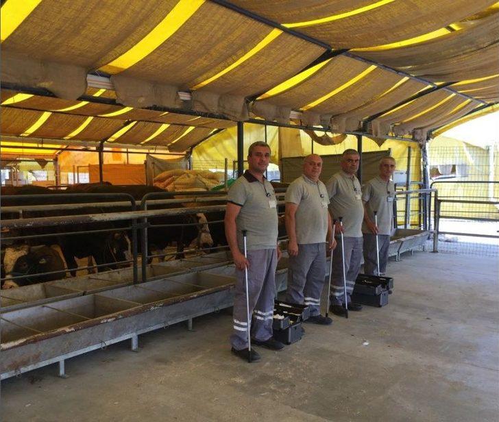 (özel) İbb Kurban Timi Görevde G1