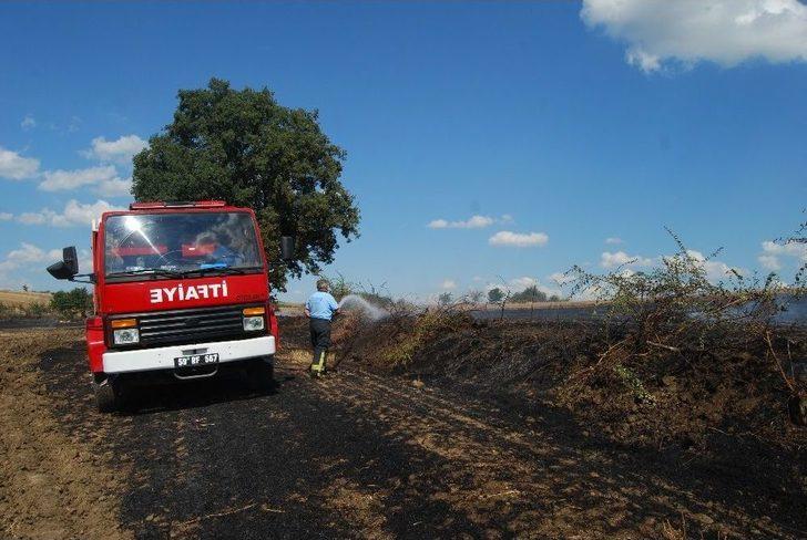 Arı Kovanları Yangında Küle Döndü G2