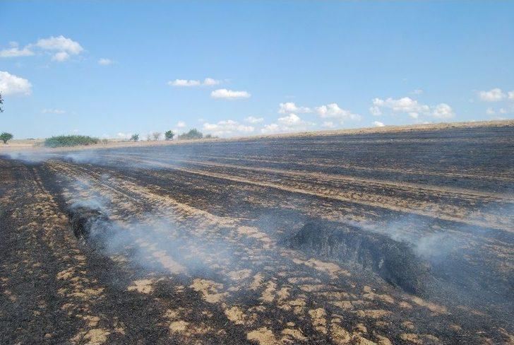 Arı Kovanları Yangında Küle Döndü G3