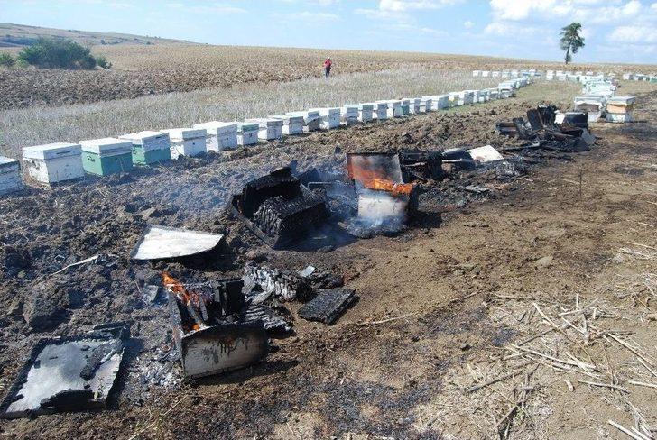 Arı Kovanları Yangında Küle Döndü G4