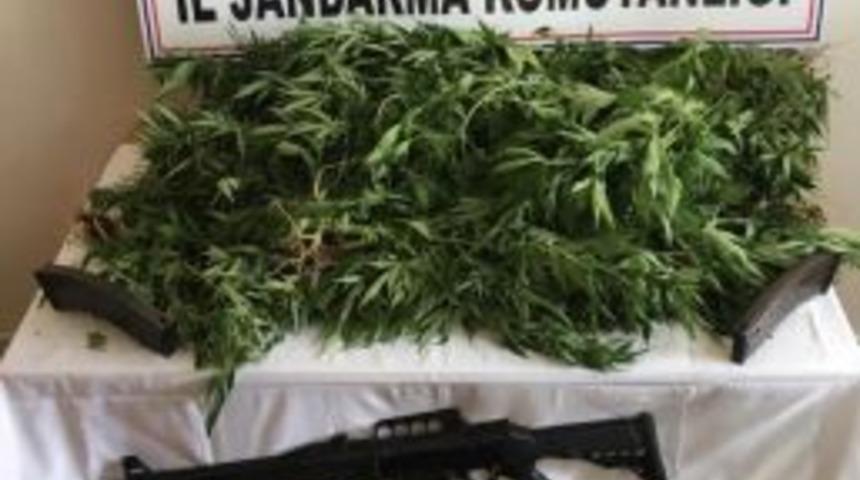Jandarmadan Uyuşturucu Operasyonu