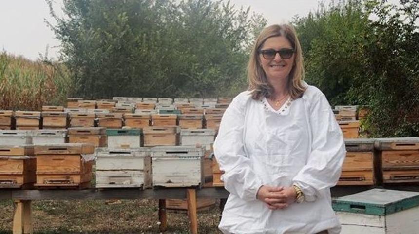 Kanserle Savaşta Propolisin Antit&uuml;mor Etkisi