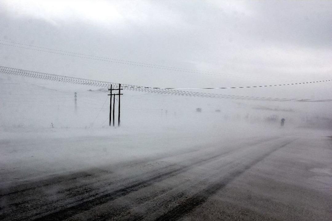 Erzurum&rsquo;da Tipi Hayatı Fel&ccedil; Etti