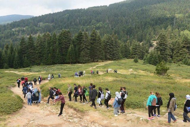 Uludağ’da Yıldız Yağmuru