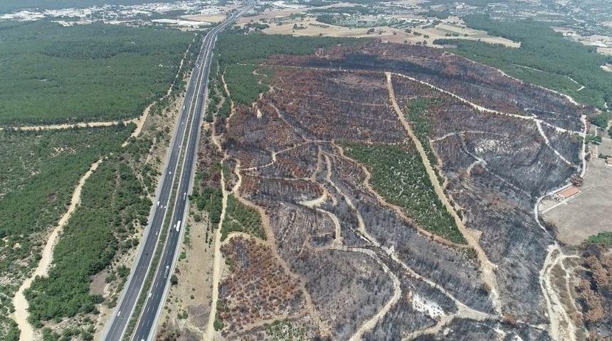 Buca&rsquo;da Yanan Alan Drone İle G&ouml;r&uuml;nt&uuml;lendi